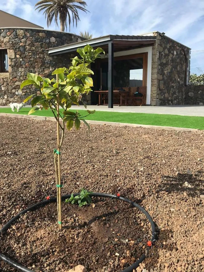 Сasa de vacaciones Casa de Los Alberconcillos Agüimes